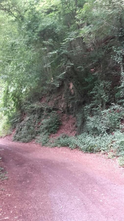 Ferienwohnungen "Am Fuerstenweg" Neuwied Kültér fotó