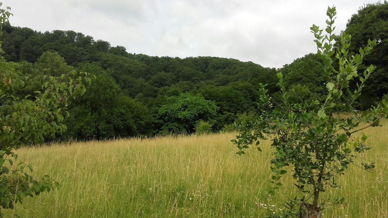 Ferienwohnungen "Am Fuerstenweg" Neuwied Kültér fotó